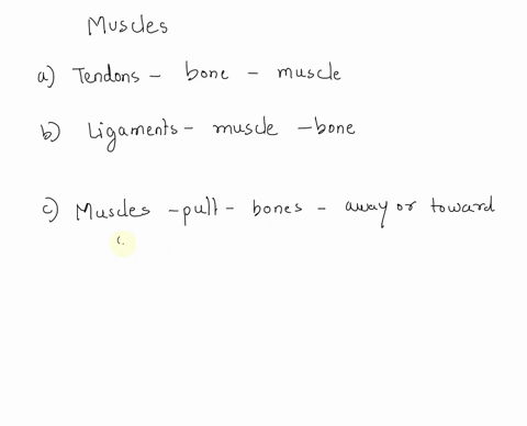 which-of-the-following-are-correct-statements-about-the-role-of-muscle-in-the-movement-of-jointstendons-connect-muscle-to-bone-ligaments-connect-muscle-to-bone-muscles-may-pull-bones-away-fr-83611
