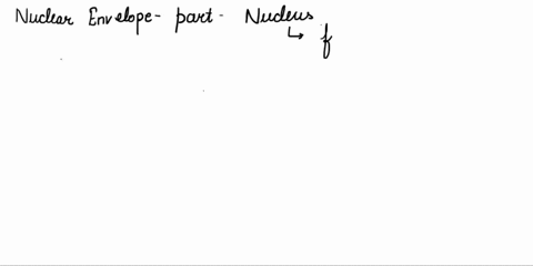 choose-all-that-apply-the-design-of-the-nuclear-envelope-is-such-that-_____-group-of-answer-choices-1-the-outer-nuclear-envelope-have-ribosomes-bound-to-it-2-the-outer-envelope-allows-the-ch-02818