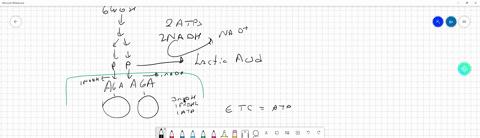 what-would-happen-to-the-atp-yield-of-cellular-respiration-if-a-the-transporter-that-imports-pyruvate-into-the-mitochondria-stopped-working-explain-the-effect-of-this-on-atp-production-for-a-56702