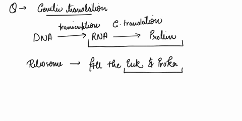 genetic-translation-occurs-at-ribosomes-located-in-the-___________-of-the-cell-a-cytoplasm-b-plasma-membrane-c-nucleus-d-golgi-apparatus-52277
