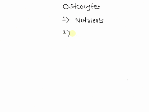 osteocytes-in-spongy-bone-receive-their-nutrients-directly-via-select-one-0-haversian-canals-that-make-contact-with-osteocyte-cytoplasmic-processes-0-b-volkmans-canals-diffusion-from-cells-l-40956