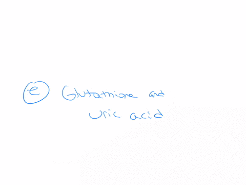 which-two-antioxidant-chemicals-are-made-within-the-body-a-glucose-and-uric-acid-b-glucose-and-sulfur-c-adenine-and-uric-acid-d-glutathione-and-cysteine-e-glutathione-and-uric-acid
