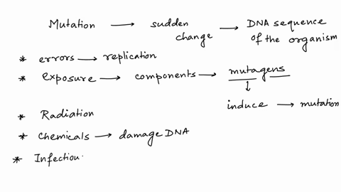 what-are-mutations-and-what-causes-them-are-mutations-helpful-harmful-or-both-explain-02807
