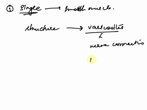 questions-1-6which-type-of-smooth-muscle-is-this-figure-3pts-1which-type-of-smooth-muscle-is-shown-in-this-figure-2name-the-structure-pointed-at-3why-do-they-call-these-muscle-cells-electric-38421