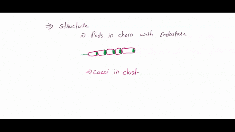 review-of-bacterial-structures-using-the-list-of-terms-below-draw-and-label-the-parts-listed-for-each-ofthe-following-organisms-rods-in-chains-with-endospores-b-cocci-in-clusters-with-capsul-04453