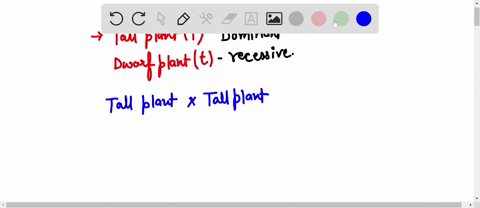 when-two-plants-both-tall-were-crossed-they-produce-some-offspring-that-were-dwarves-assuming-that-the-height-of-the-plant-is-controlled-by-a-single-gene-and-the-allele-for-the-tall-plant-is-41045