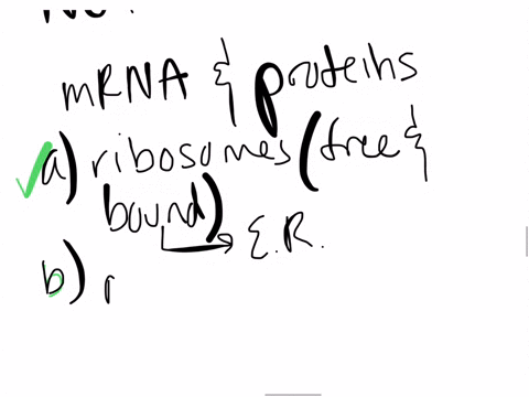 question-21-which-statement-is-not-true-concerning-movement-of-mrna-and-proteins-throughout-the-endomembrane-system-a-ribosomes-appear-both-free-in-the-cell-cytoplasm-and-attached-to-a-membranous-orga