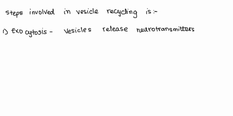 chapter-5-synaptic-transmission-review-questions-by-jannon-fuchs-table_-compare-the-advantages-of-electrical-versus-chemical-synapses-synapses-are-only-theory-your-nextdoor-neighbor-challeng-42995