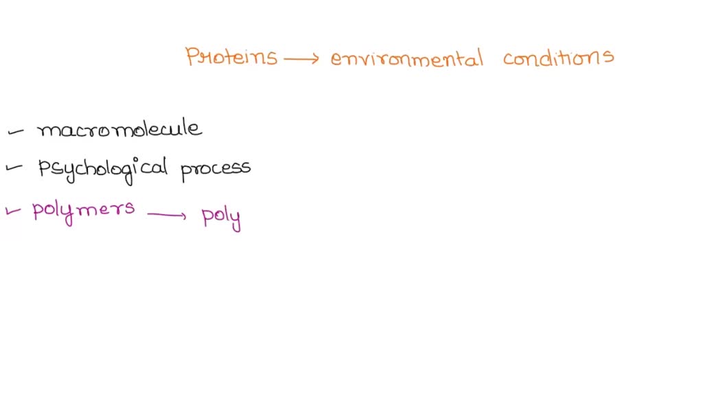 solved-why-do-proteins-determine-the-physical-and-physiological-traits