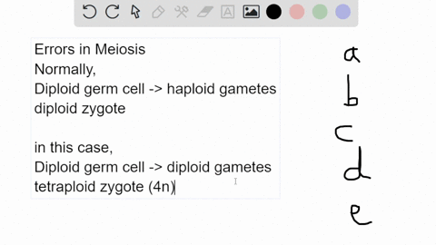 when-an-error-in-meiosis-results-in-2n-gametes-instead-of-1n-gametes-and-those-gametes-form-a-viable-zygote-this-is-calleda-allopatric-speciation-sympatric-isolation-polyploid-speciation-hab-58806
