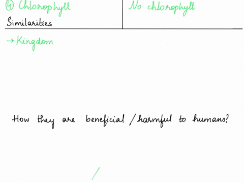 describe-how-the-algea-and-protozoa-are-similar-and-how-they-differ-from-each-other-what-roles-played-by-each-of-these-groups-in-nature-isare-beneficial-or-harmful-to-humans-what-are-the-uni-42983