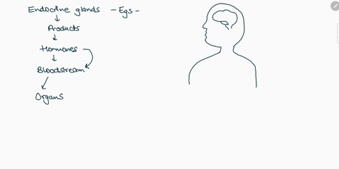 what-are-the-major-endocrine-glands-in-the-human-body-and-where-are-they-located-73508