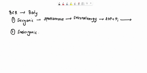 compare-and-contrast-endergonic-and-exergonic-reactions-provide-an-example-of-each-32358
