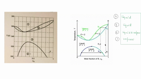 a-phase-diagram-of-a-mixture-of-partially-miscible-liquids_-a-and-b-is-shown-on-the-right-the-mixture-is-in-a-liquid-state-and-fully-miscible-at-p-310-k-and-x8-090-how-many-and-what-kinds-of-52759