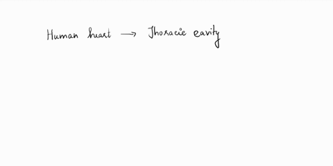 which-statement-accurately-describes-the-position-of-two-parts-of-the-body-the-heart-is-medial-to-the-lungs-the-larynx-is-lateral-from-the-lymph-nodes-the-kidneys-are-superior-to-the-brain-t-93933