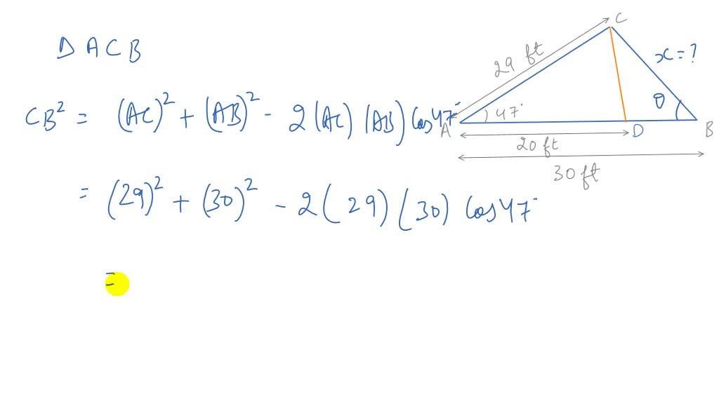 SOLVED: To etimate the amount of usable lumber in trce; Chitra must ...