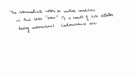 a-red-bull-is-crossed-with-a-white-cow-and-all-of-the-offspring-are-roan-an-intermediate-color-that-is-caused-by-the-presence-of-both-red-and-white-hairs-this-is-an-example-of-alleles-that-a-24677
