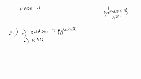 1-electrons-are-donated-to-the-electron-transport-chain-by-group-of-answer-choices-fadh2-and-nadh-atp-and-nad-atp-and-nadh-nad-and-atp-2-during-glycolysis-glucose-is-__________-and-becomes-p-11113