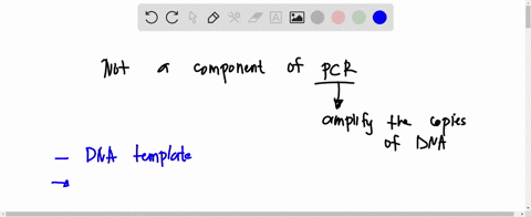 17-which-of-the-following-is-not-a-component-of-a-pcr-reaction-mixture-a-dna-template-b-individual-deoxynucleotides-c-calcium-ions-d-magnesium-ions-e-salt-buffer-49548