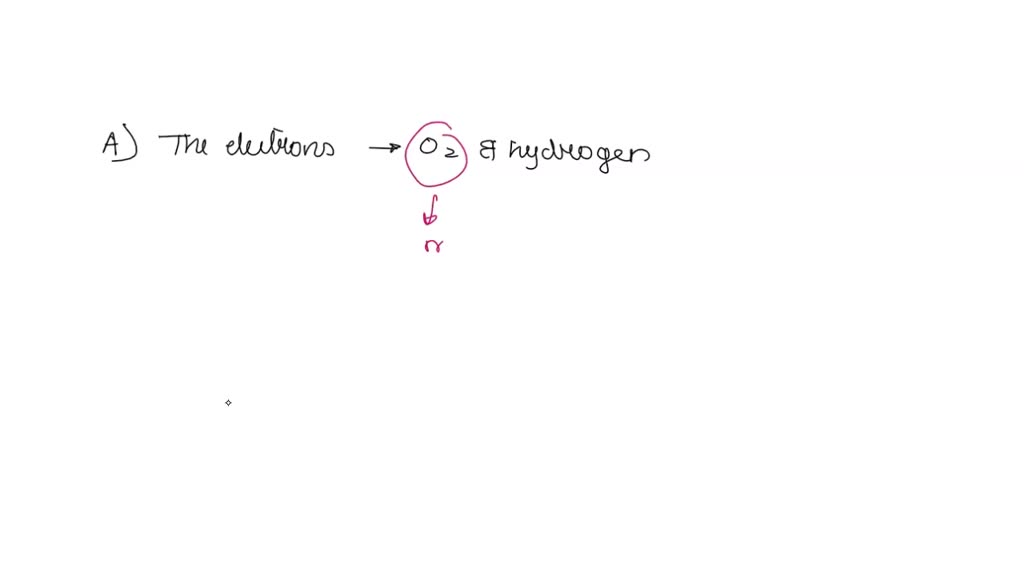 solved-the-partial-negative-charge-in-a-molecule-of-water-occurs