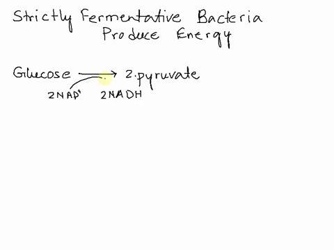 a-strictly-fermentative-bacterium-produces-energy-a-only-in-the-absence-of-oxygen-b-only-in-the-presence-of-oxygen-c-by-fermentation-or-aerobic-respiration-d-by-glycolysis-only-e-by-aerobic-00845
