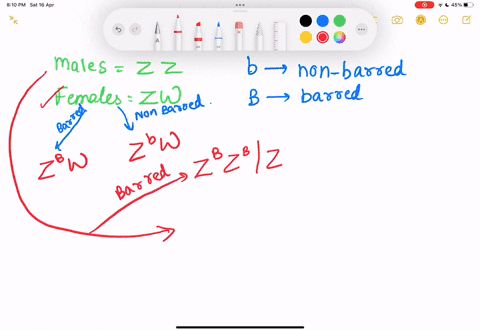 apply-what-you-have-learned-about-x-linked-genes-here-in-chickens-it-is-the-females-that-have-two-different-sex-chromosomes-zw-while-the-males-have-two-z-chromosomes-zz-a-z-linked-gene-contr-22254
