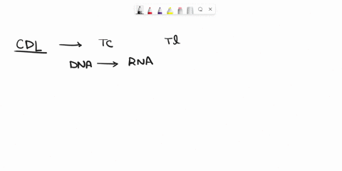 transcription-begins-a-at-the-start-codon-b-upstream-from-the-start-codon-c-downstream-from-the-start-codon-d_-none-of-these-81957