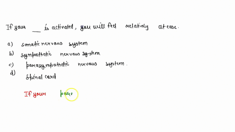 if-your-________-is-activated-you-will-feel-relatively-at-ease-a-somatic-nervous-system-b-sympatheti-18498