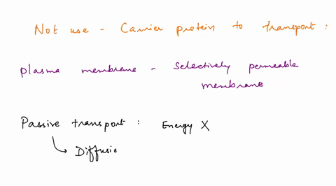 n1a-which-of-the-following-processes-does-not-use-ai-a-carrier-protein-to-transpon-substances-across-the-plasma-membrane-ed-lout0l-select-one-a-facilitated-diffusion-on-b-sodium-potassium-pu-10036