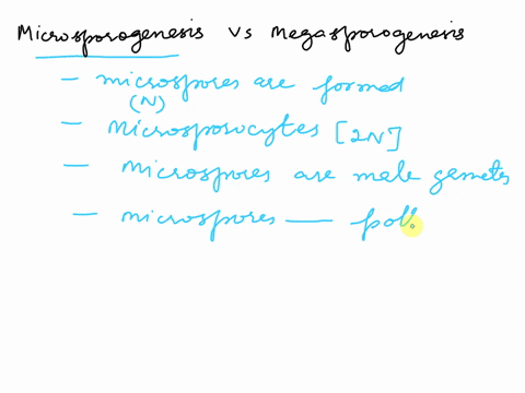 what-is-the-difference-between-microsporogenesis-and-megasporogenesis-51227