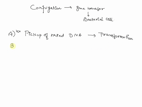 conjugation-is-a-picking-up-naked-dna-from-environment-b-stalks-formation-f-plasmid-formation-of-pilli-to-pass-plasmid-dna-to-another-bacteria-using-f-factor-d-form-of-mutation-e-basc-substi-36852