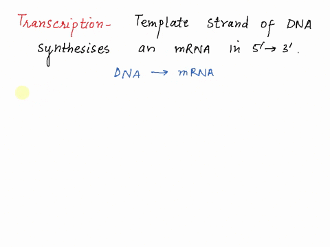 which-of-the-following-is-involved-in-both-transcription-and-translation-a-amino-acids-b-dna-c-messenger-rna-d-ribosomes-e-transfer-rna-20892