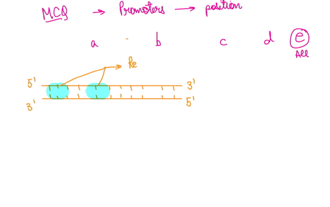 promoters-can-be-just-before-the-transcription-initiation-site-far-away-from-the-transcription-initiation-site-after-the-end-of-the-gene-upside-down-any-of-the-above-73594