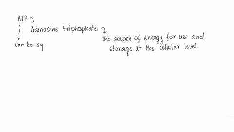 which-of-the-following-is-not-a-component-of-atpa-glucose-c-adenineb-ribose-d-phosphate-groups-28399