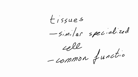 topic-3-dt-1-discuss-why-blood-is-considered-a-tissue-and-the-important-functions-of-this-tissue-12pt-vee-paragraph-vee
