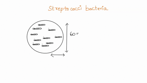 on-a-blank-white-sheet-of-paper-draw-the-top-view-from-a-light-microscope-of-streptococci-bacteria-after-a-gram-stain-draw-at-least-25-cells-and-also-provide-a-scale-bar-and-the-total-lens-m-23989