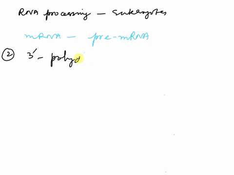 describe-the-rna-processing-steps-that-occur-in-eukaryotes-what-is-alternative-splicing-69023