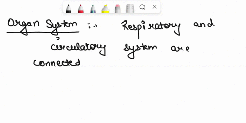 discuss-the-relationship-between-the-cardiovascular-and-respiratory-systems-and-how-these-systems-function-together-to-keep-us-alive-74832