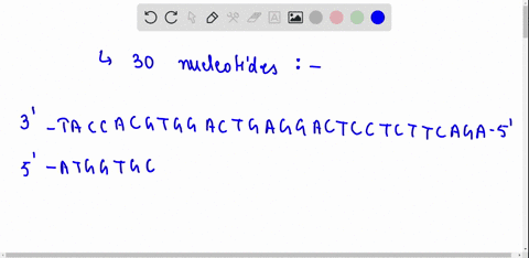 in-the-human-gene-for-the-beta-chain-of-haemoglobin-the-oxygen-carrying-protein-in-the-red-blood-cells-the-first-30-nucleotides-in-the-amino-acid-coding-region-is-represented-by-the-sequence-51182
