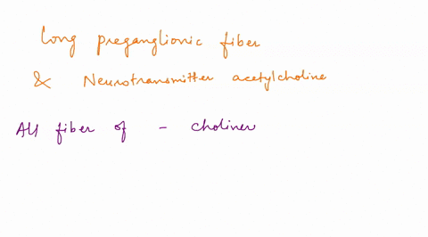 a-long-preganglionic-fiber-and-the-neurotransmitter-acetylcholine-used-at-both-synapses-are-characteristic-of-the-sympathetic-division-parasympathctic-divislon-somatic-motor-division-volunta-48232