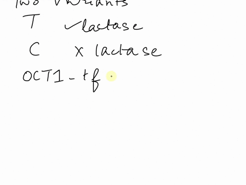 lactase-promoter-region-rna-polymerase-complex-direction-of-transcription-oct1-regulatory-element-site-where-the-rna-polymerase-complex-binds-protein-coding-sequences-for-lactase-dna-sequenc-51645