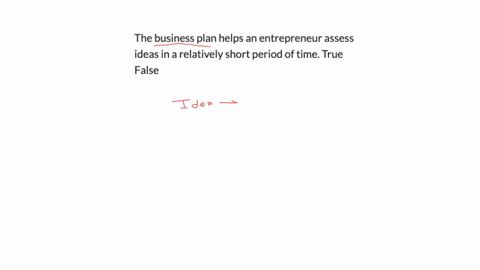the-business-plan-helps-an-entrepreneur-assess-ideas-in-a-relatively-short-period-of-time-true-false
