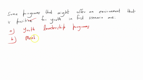 what-are-some-programs-that-might-offer-an-environment-that-is-positive-for-the-youth-in-the-first-scenario
