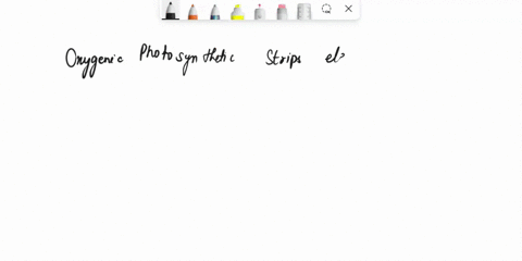 oxygenic-photosynthesis-strips-electrons-from-a-h2o-b-co2-c-h2s-d-o2-58253