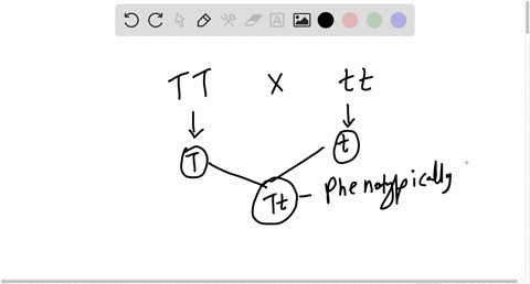 when-doing-a-cross-between-parents-where-one-of-the-parents-is-homozygous-dominant-for-the-two-traits-and-the-other-parent-is-homozygous-recessive-for-the-two-traits-what-will-be-the-phenoty-94326