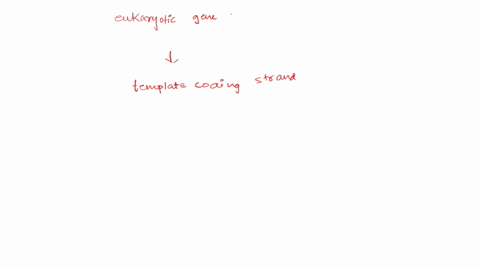 the-following-dna-sequence-represents-a-eukaryotic-gene-indicate-which-is-the-template-and-which-is-the-coding-strand-determine-where-transcription-begins-assume-it-ends-at-the-end-of-the-se-27057