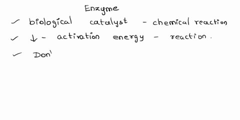 enzymes-sometimes-________-a-increase-the-amount-of-energy-necessary-to-initiate-a-reaction-b-increase-the-rate-at-which-a-reaction-occurs-c-catalyze-reactions-that-release-energy-but-not-th-80955