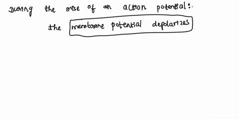 help-please-5-describe-the-changes-in-membrane-potential-occurring-during-the-rise-and-fall-of-an-action-potential-compare-the-change-in-membrane-potential-to-the-changes-in-the-conformation-78996