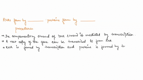 rnas-form-by-________-proteins-form-by-________-a-replication-translation-b-translation-transcriptio-32334