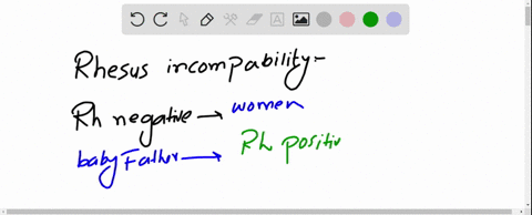 why-does-rhesus-incompatibility-usually-not-impact-a-first-pregnancy-the-fetus-blood-does-not-generally-mix-with-the-mothers-blood-until-labor-the-igm-antibodies-that-can-cross-the-placenta-26874